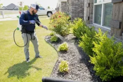 Alder Pest Control - Pest Control Services in Bella Vista, AR