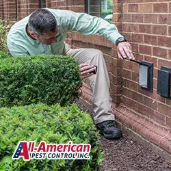 All-American Pest Control - Pest Control Services in Murfreesboro, TN