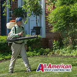 All-American Pest Control - Pest Control Services in Murfreesboro, TN