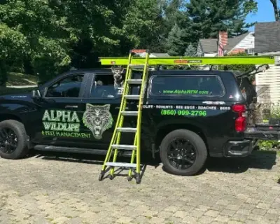 Alpha Wildlife and Pest Management - Pest Control Services in Milford, CT