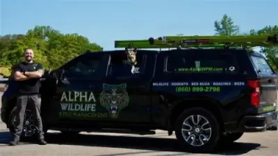 Alpha Wildlife and Pest Management - Pest Control Services in Milford, CT