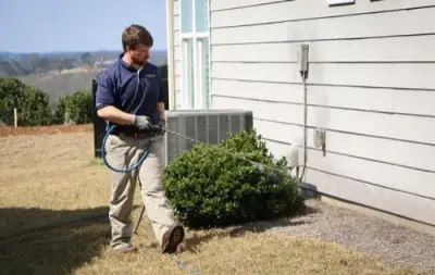 American Pest Control, Inc. - Pest Control Services in Toccoa, GA