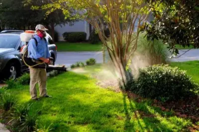 American Pest Services - Pest Control Services in Shepherdsville, KY