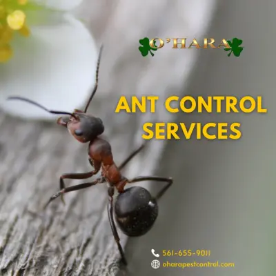 O'Hara Pest Control - Pest Control Services in West Palm Beach, FL