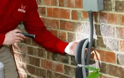Antex Pest Control - Pest Control Services in St George, UT
