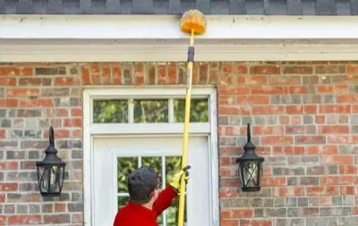 Antex Pest Control - Pest Control Services in St George, UT