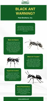 Pest Brothers, Inc. - Pest Control Services in Miami, FL