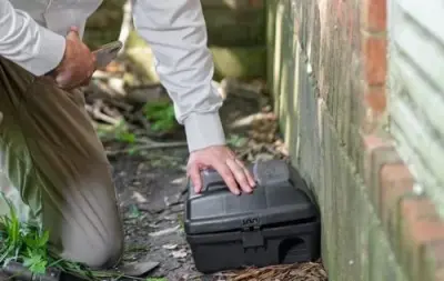 Arrest-A-Pest Exterminators, Inc. - Pest Control Services in Clayton, NC
