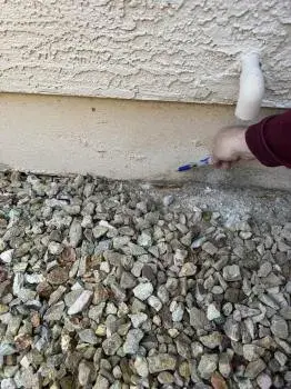 Assured Pest & Termite - Pest Control Services in Mesa, AZ