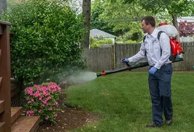 Big Blue Bug Solutions - Pest Control Services in Bedford, NH