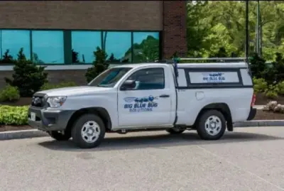 Big Blue Bug Solutions - Pest Control Services in South Portland, ME
