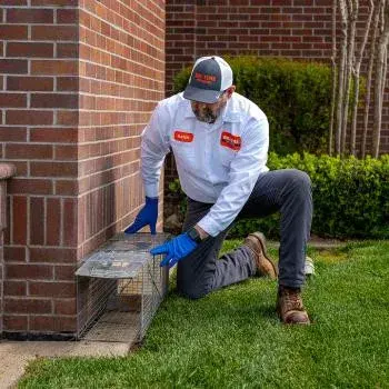 Big Time Pest Control - Pest Control Services in Redding, CA