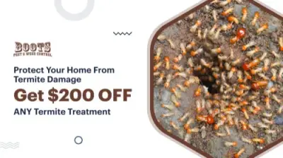 Boots Pest & Weed Control - Pest Control Services in Elgin, OK
