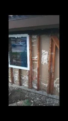 Ryans Structural Termite Control - Pest Control Services in Bakersfield, CA
