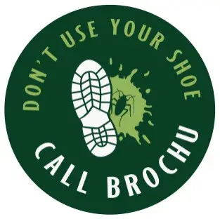 Brochu Pest Solutions - Pest Control Services in Salem, NH