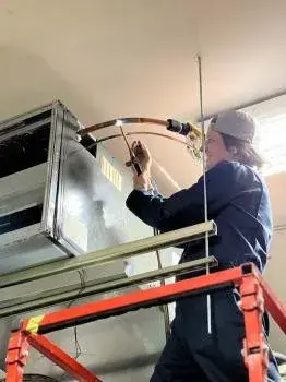 Bucksworth Home Services - Pest Control Services in Tucson, AZ