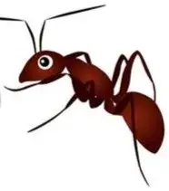 Bug Off Pest Control of Hoover - Pest Control Services in Hoover, AL