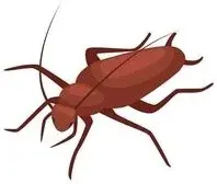 Bug Off Pest Control of Hoover - Pest Control Services in Hoover, AL
