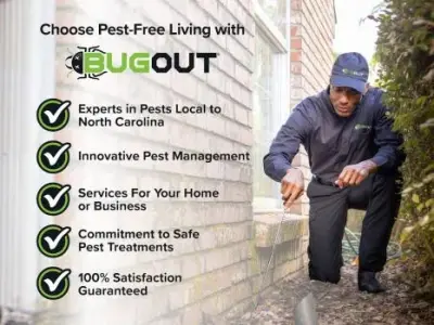 Bug Out - Pest Control Services in Greenville, NC