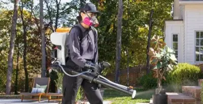 Bug Out - Pest Control Services in Greenville, NC