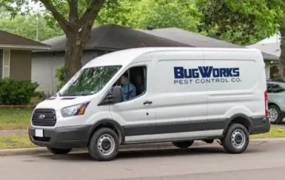 Bugworks Termite & Pest Control Company - Pest Control Services in Brownsville, TX