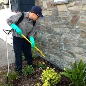 Cascade Pest Control - Pest Control Services in Boise, ID