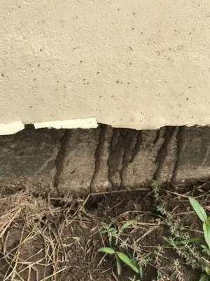 ChemTec Pest Control, LLC - Pest Control Services in Lubbock, TX
