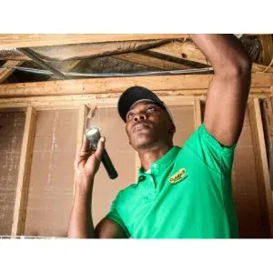 Clark's Termite & Pest Control - Pest Control Services in Ridgeland, SC