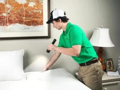 Clark's Termite & Pest Control - Pest Control Services in Summerville, SC