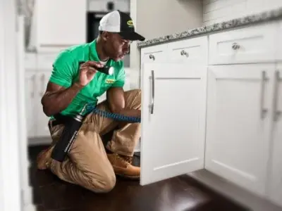 Clark's Termite & Pest Control - Pest Control Services in Raleigh, NC