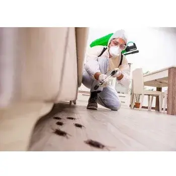 Clayton Pest Control Service - Pest Control Services in Clayton, NC