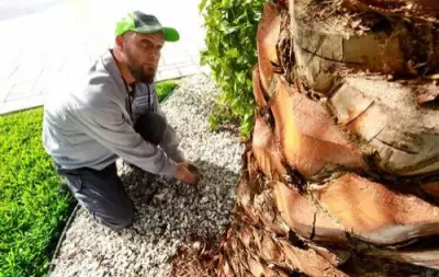 Coastal Lawn and Pest - Pest Control Services in Cape Coral, FL