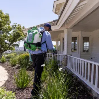 Corky's Pest Control - Pest Control Services in Downey, CA
