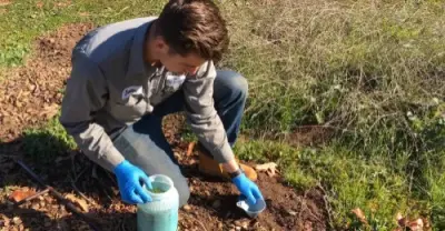 Corky's Pest Control - Pest Control Services in National City, CA