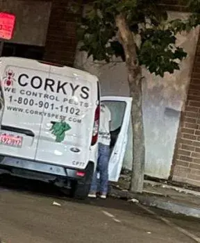 Corky's Pest Control - Pest Control Services in San Marcos, CA