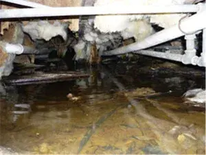 Bohannon Services - Pest Control Services in Florence, AL