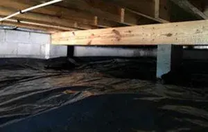 Bohannon Services - Pest Control Services in Florence, AL