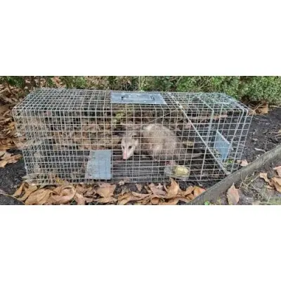 Critter Stop - Insulation Installation in Austin, TX