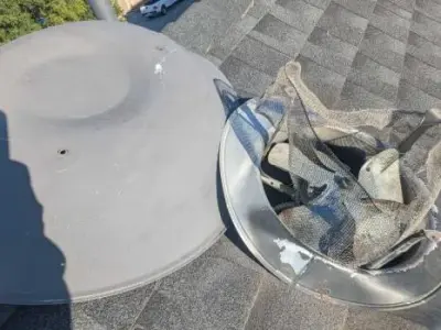 Critter Stop - Pest Control Services in College Station, TX