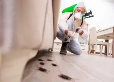 Deep Blue Pest Control - Pest Control Services in Hilo, HI