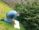 East End Tick Control - Pest Control Services in Southampton, NY