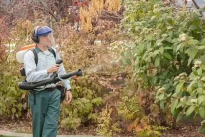 Edge Pest Control and Mosquito Services - Pest Control Services in Colorado Springs, CO