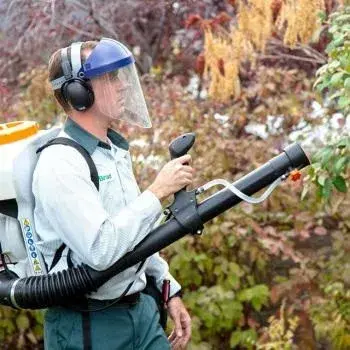 Edge Pest Control and Mosquito Services - Landscape Design in Salt Lake City, UT