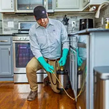 Evergreen Pest Solutions - Pest Control Services in Chesapeake, VA