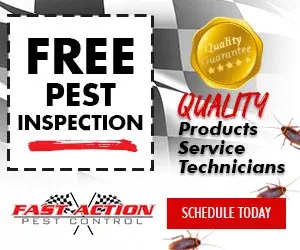 Fast Action Pest Control - Pest Control Services in Yuba City, CA
