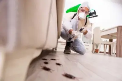 Fisher Pro Pest Control Service - Pest Control Services in Fishers, IN