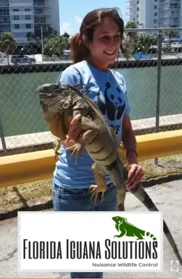 Florida Iguana Solutions, LLC - Pest Control Services in Fort Lauderdale, FL