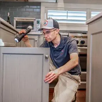 Four Seasons Pest Control - Pest Control Services in South Boston, VA