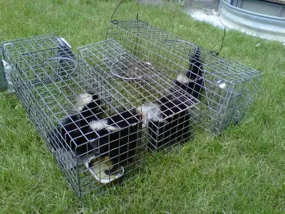 U.S. Wildlife Removal Service - Pest Control Services in Lisle, IL