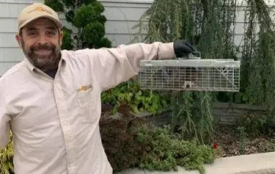 Gold Shield Pest Control - Pest Control Services in Egg Harbor Township, NJ